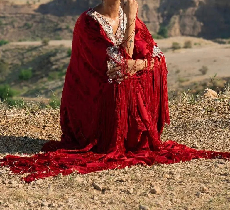 Sana Safinaz | Winter Luxury  |V231-001-DD