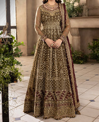 2-PCS- CHIFFON PESHWAS- KHWAB E NAUBAHAR -AJNB-1155