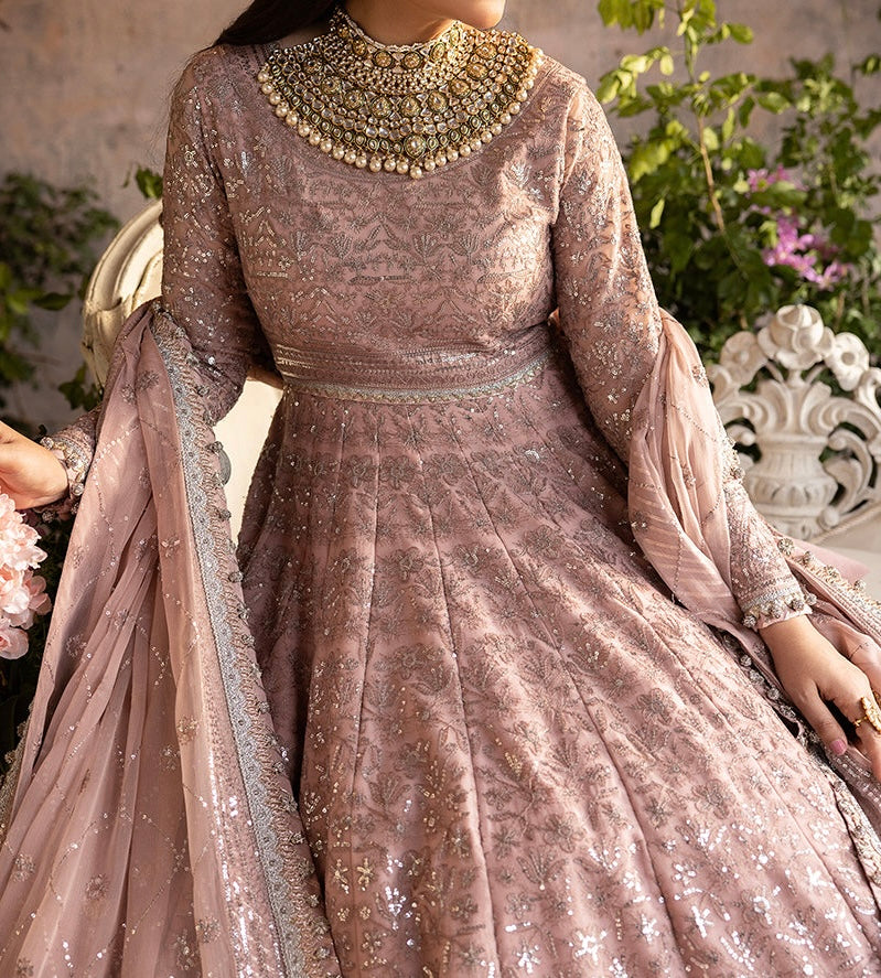 2-PCS- CHIFFON PESHWAS- KHWAB E NAUBAHAR -AJNB-0655